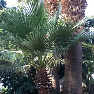 Meet your Posher, Kay